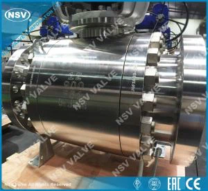 F51 الكرة صمام